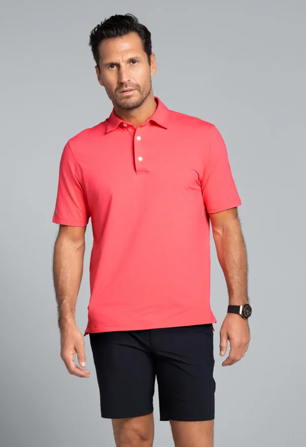 ESSENTIAL SHORT SLEEVE POLO (MODERN FIT) - Image 2